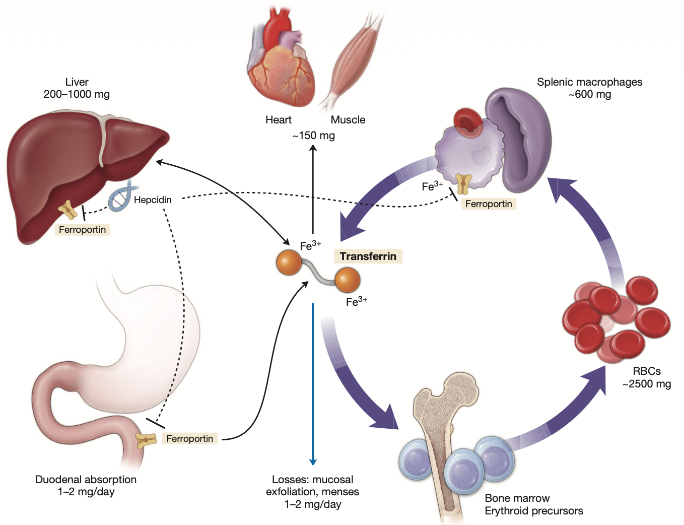 Pasted image 20260117113308.png|440