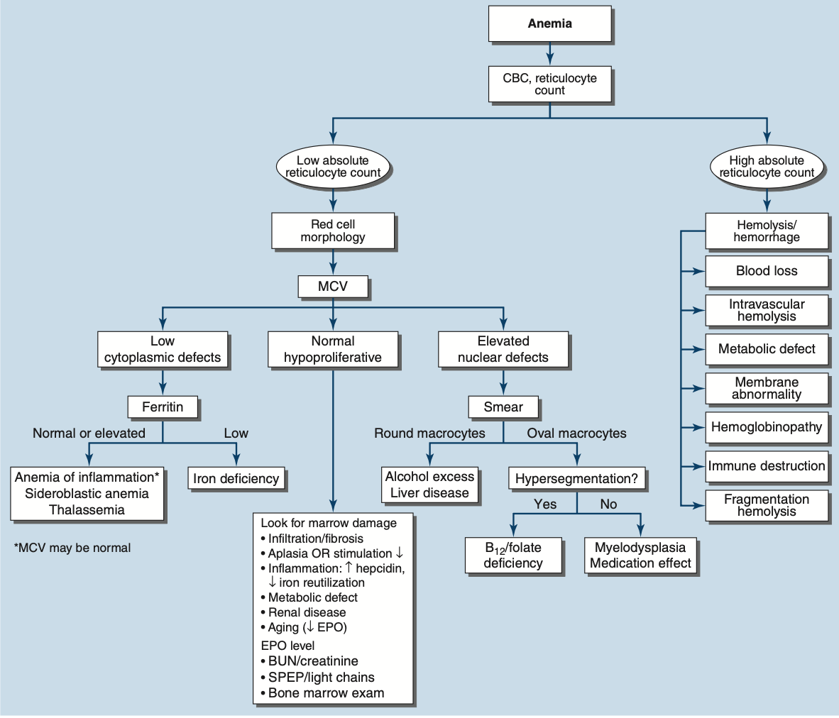 Pasted image 20260129004030.png