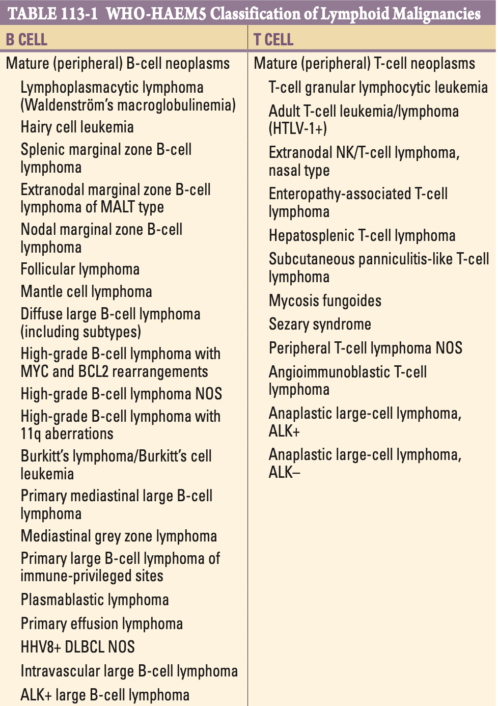 Pasted image 20260129194129.png|350