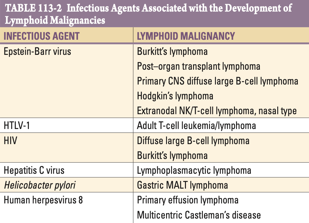 Pasted image 20260129195756.png|350