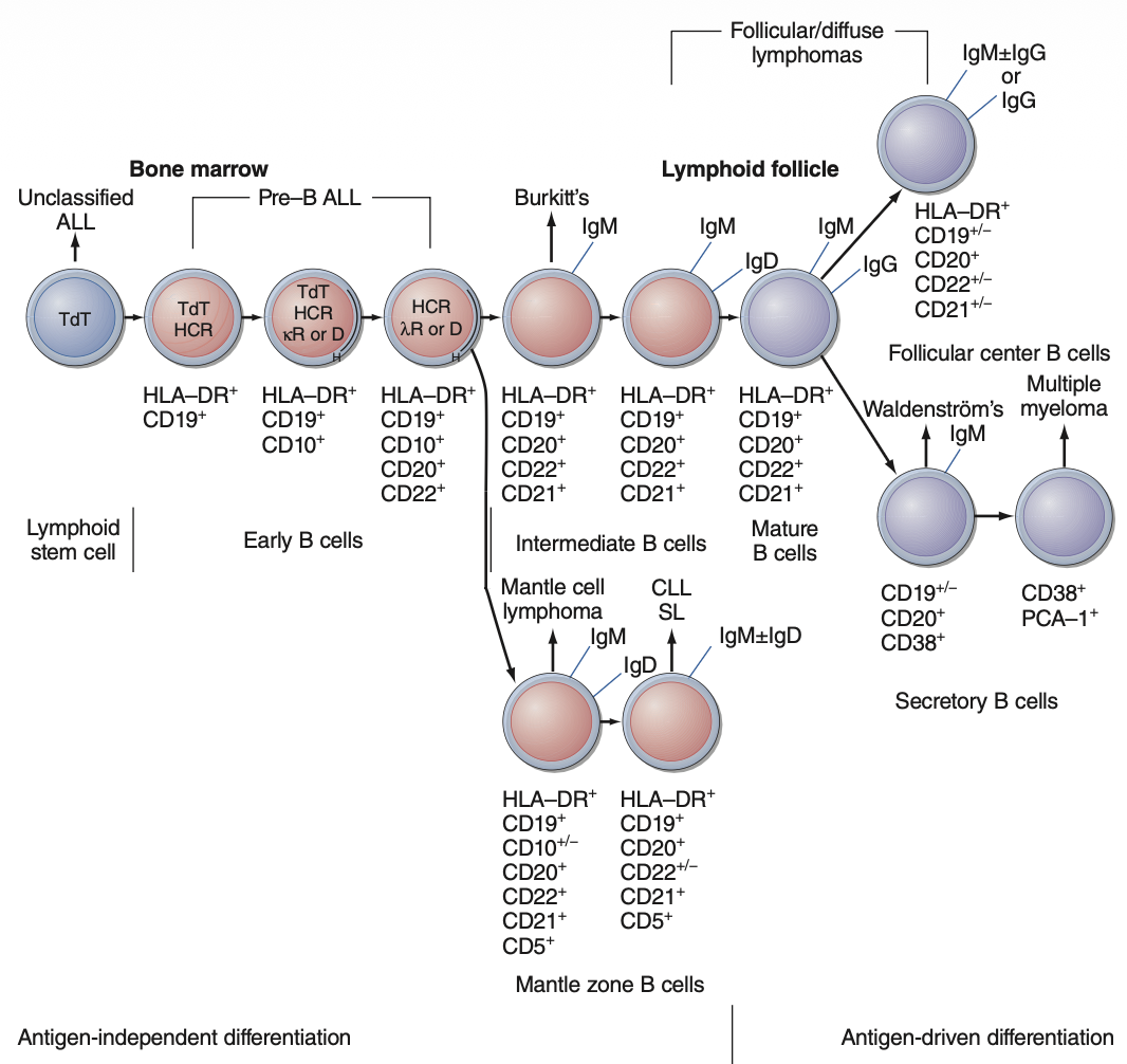 Pasted image 20260129200915.png