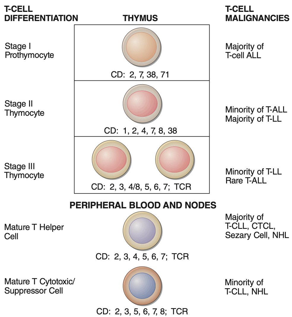 Pasted image 20260129201253.png