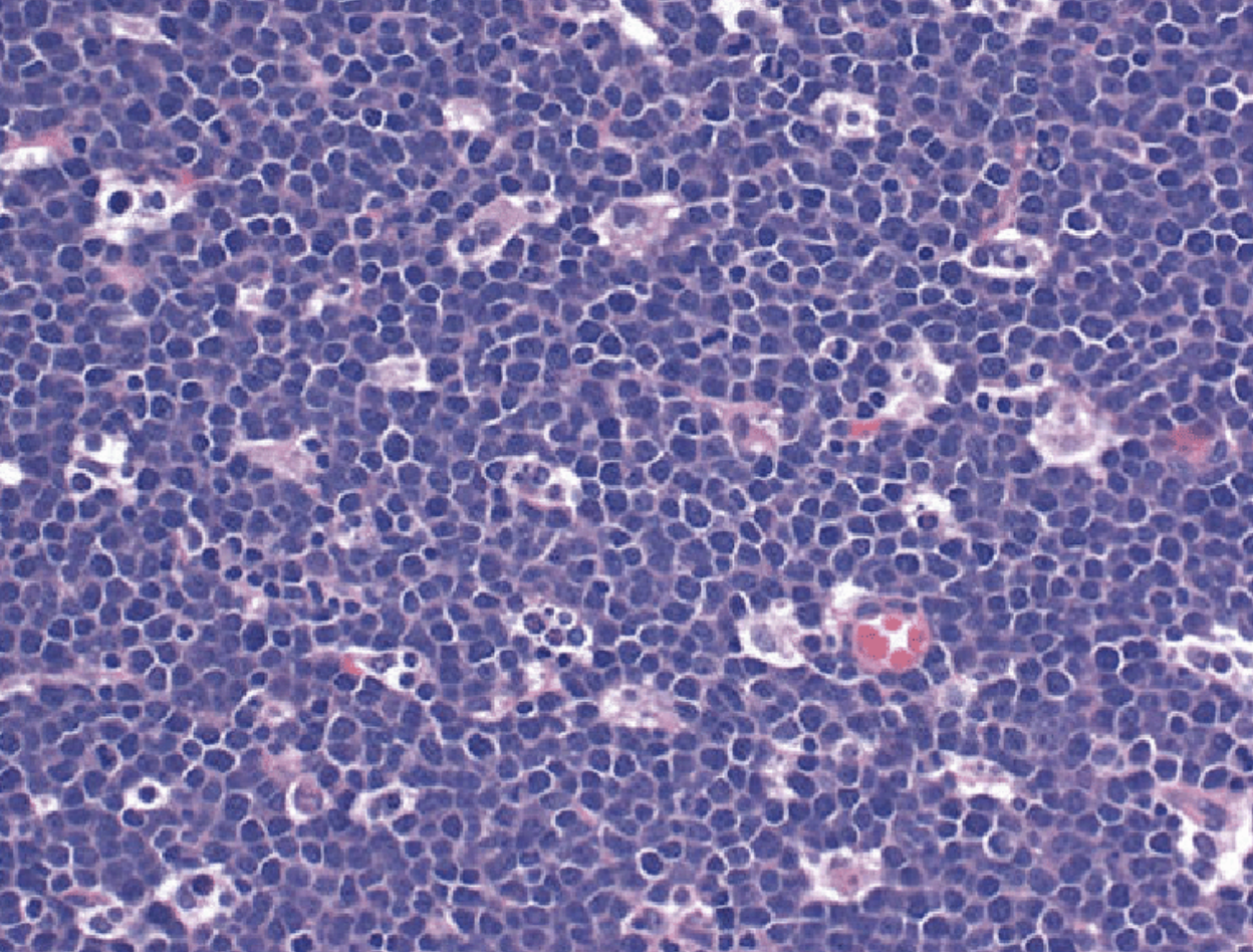 Pasted image 20260129212636.png|200