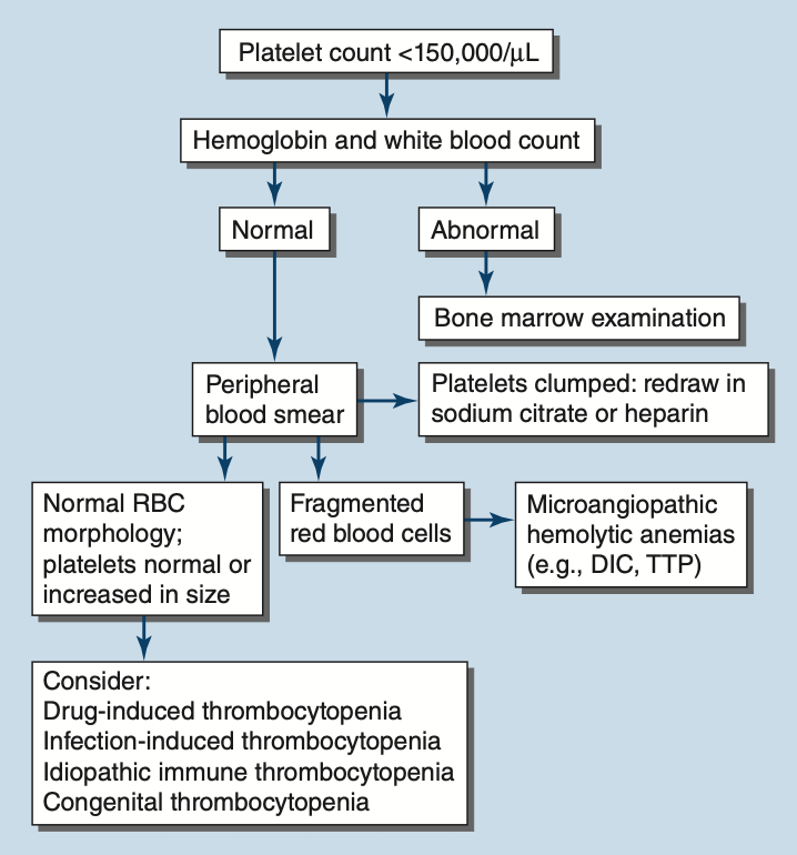 Pasted image 20260201163518.png|350