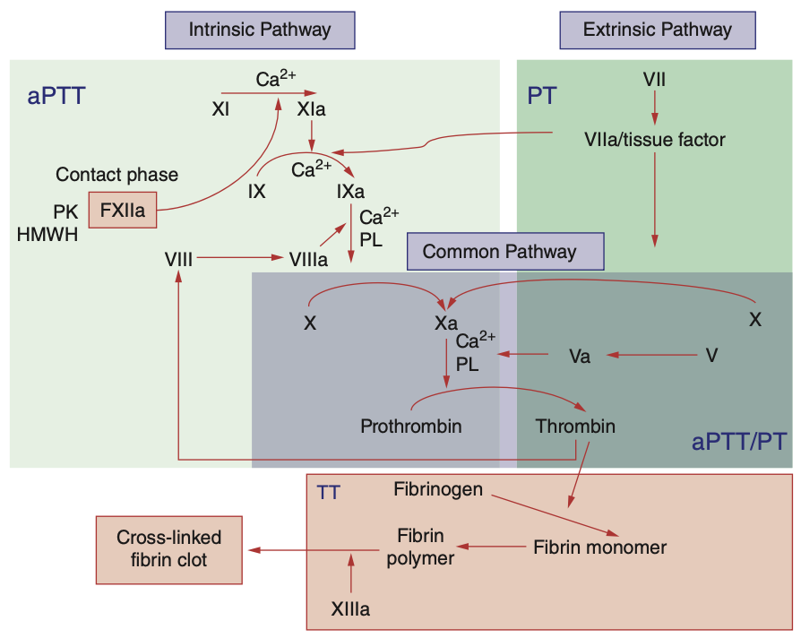 Pasted image 20260201212414.png|450