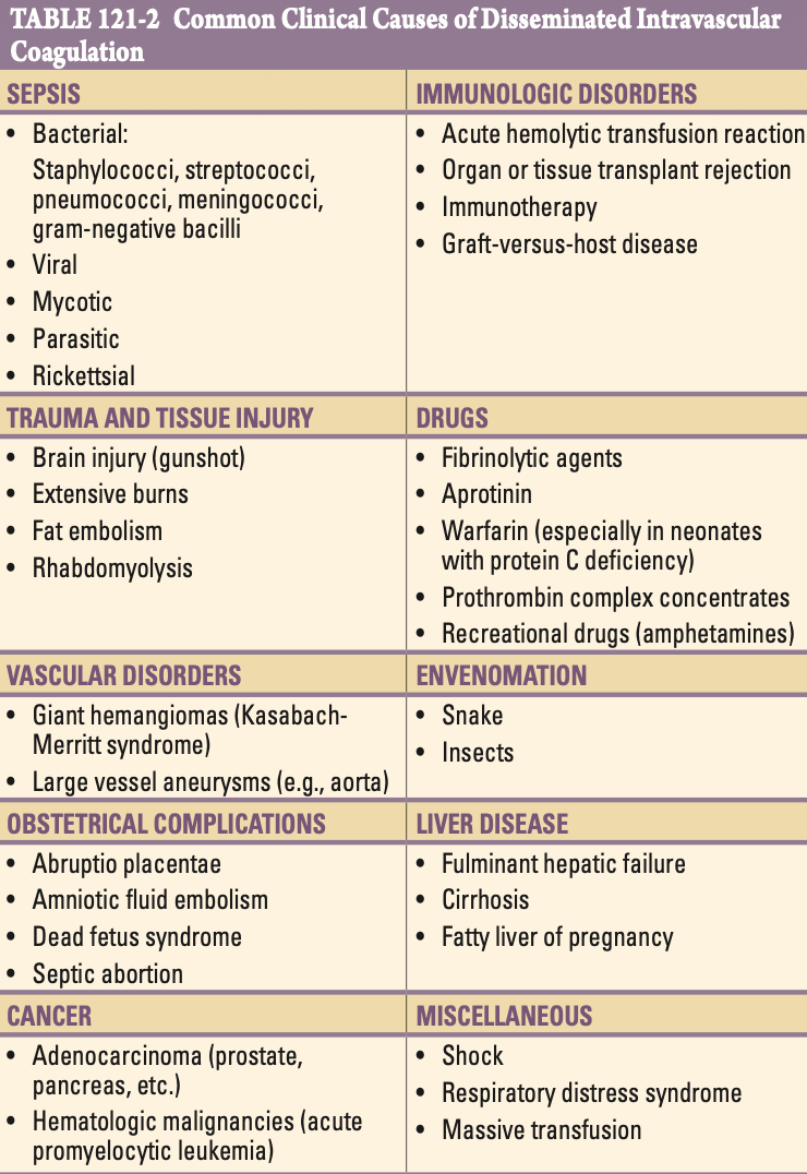 Pasted image 20260201221443.png|350