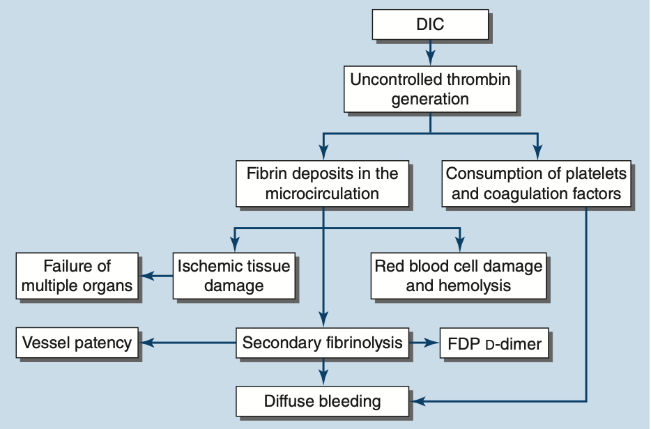Pasted image 20260201221555.png|350