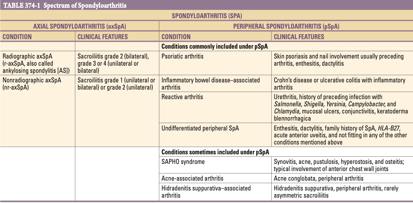 Pasted image 20260202143000.png