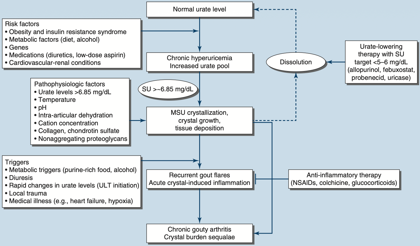 Pasted image 20260202163849.png|750