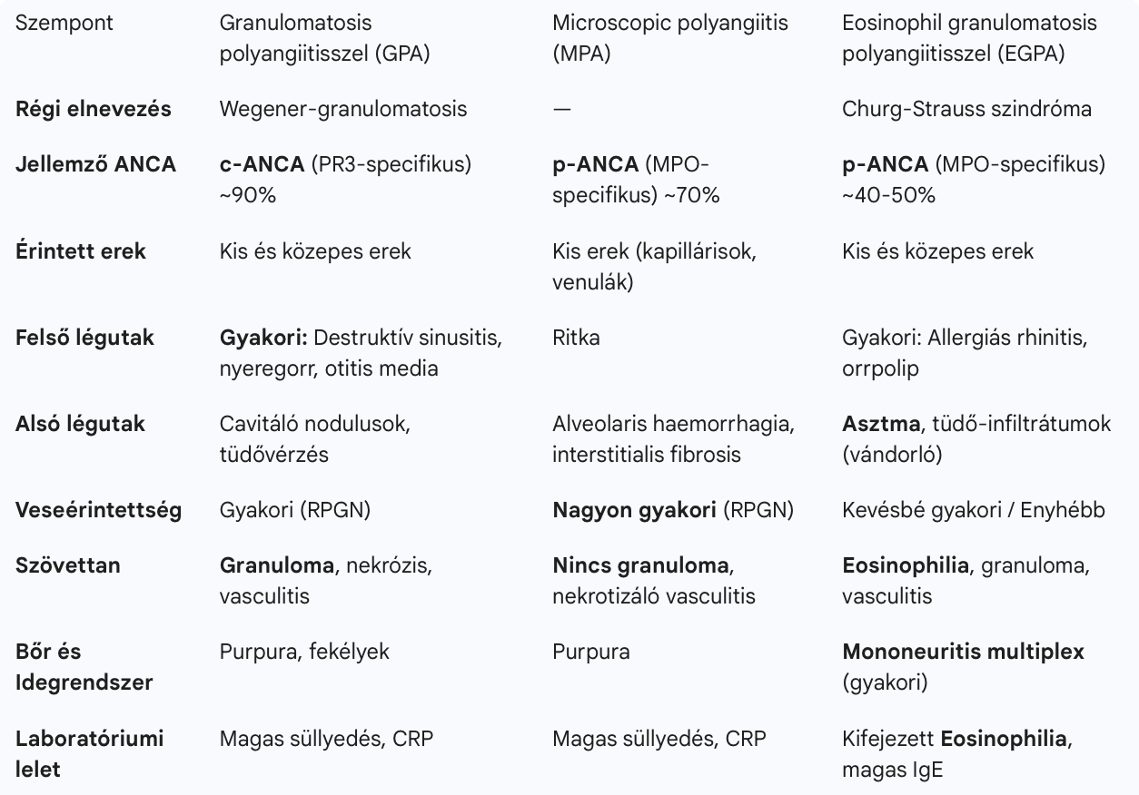 Pasted image 20260202180824.png|500