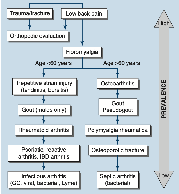 Pasted image 20260203183441.png|350