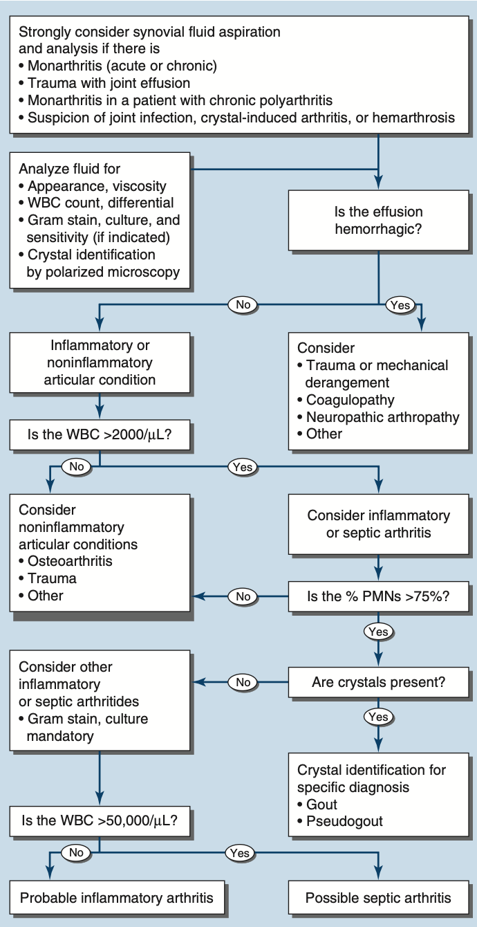 Pasted image 20260203183711.png|300