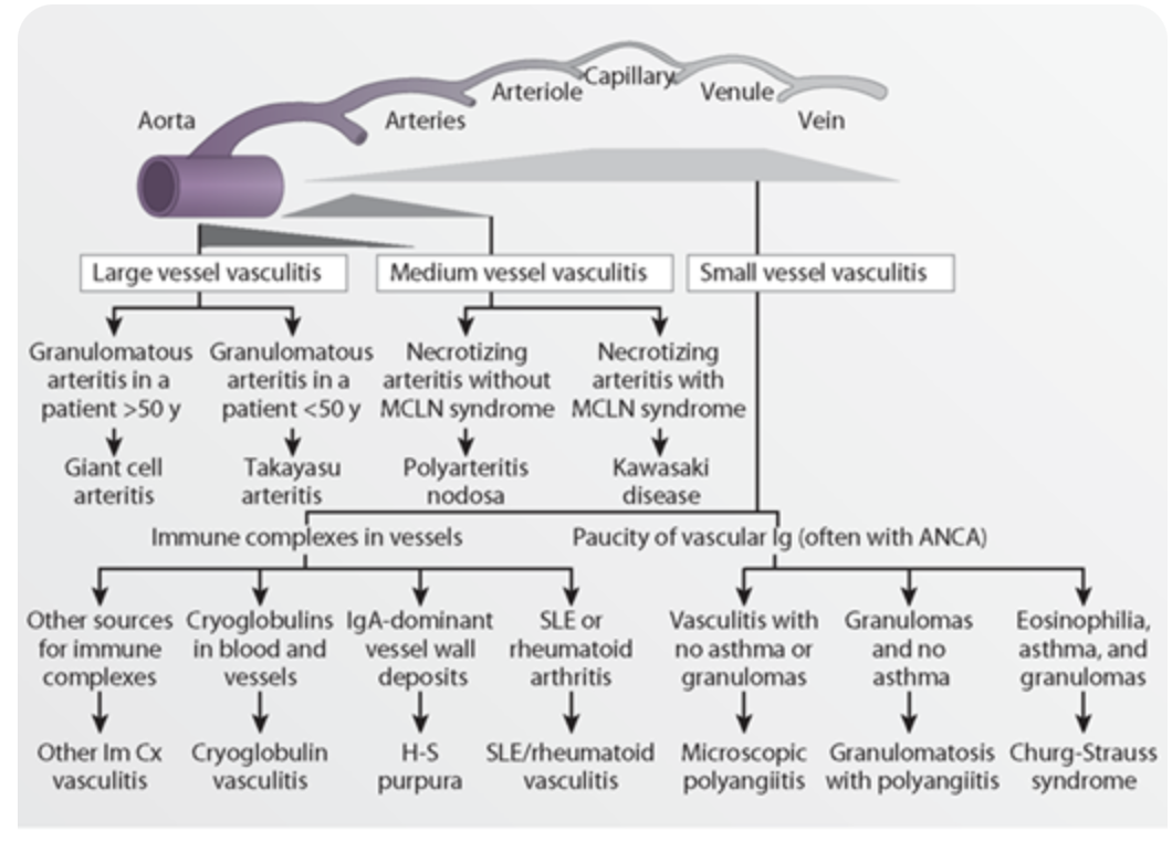 Pasted image 20260204121015.png|450