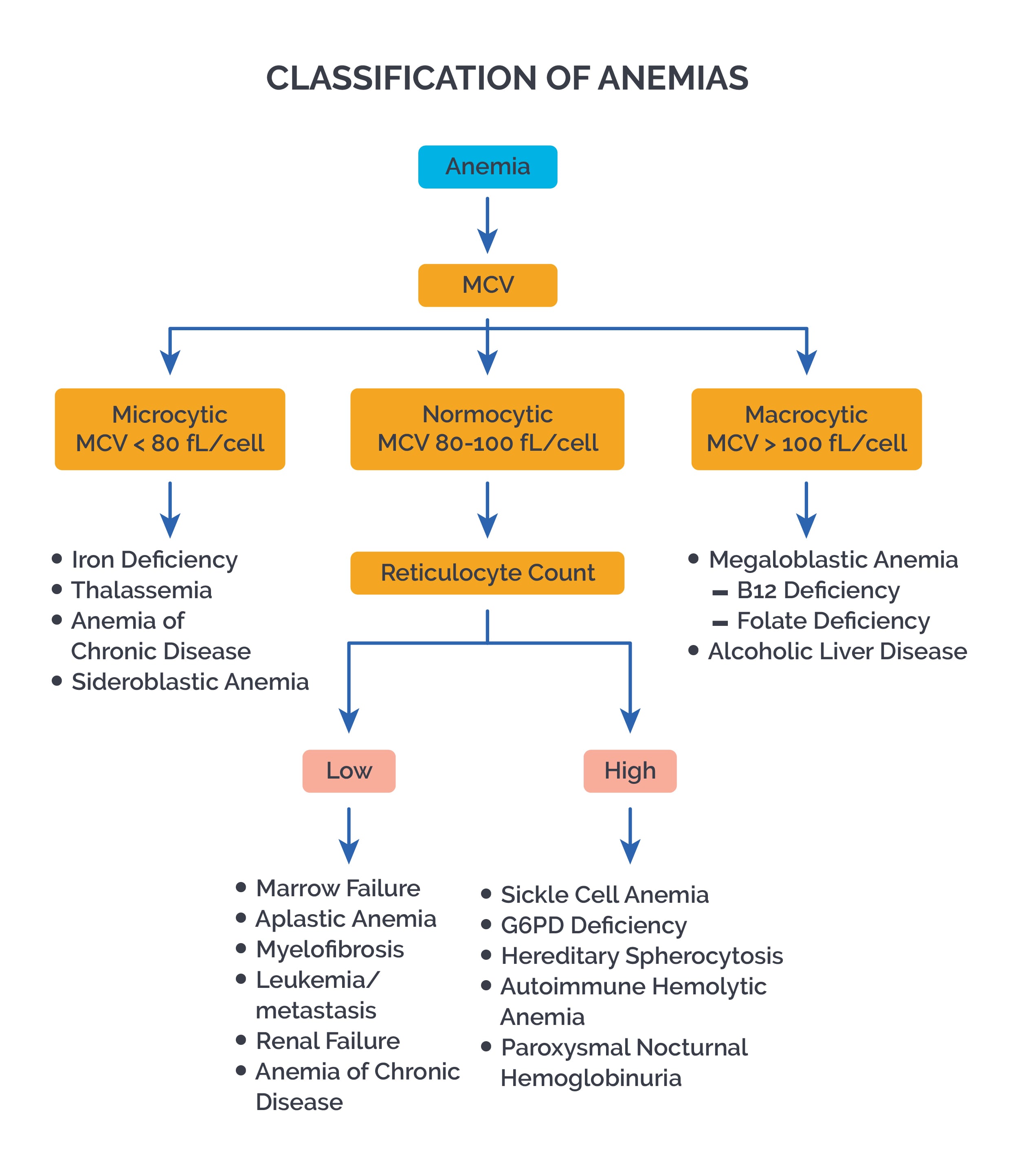 classification-of-anemias.jpg|500