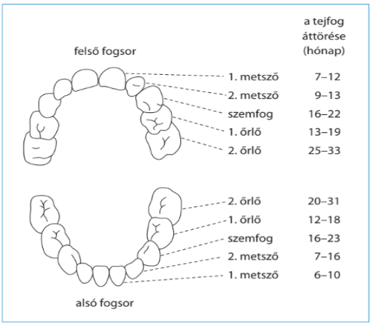 Pasted image 20251126092122.png|300