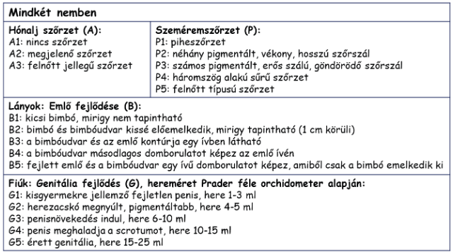 Pasted image 20251207211138.png